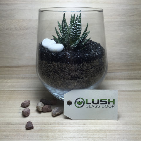 Customised Alonzo Zen Themed Succulent Terrarium by Lush Glass Door Singapore