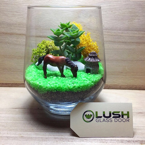 Succulent Terrarium DIY Kit by Lush Glass Door Singapore