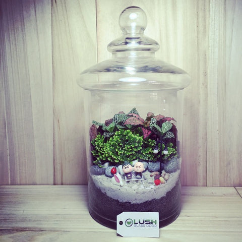 Customized Felice Fittonia & Moss Premium Terrarium by Lush Glass Door Singapore