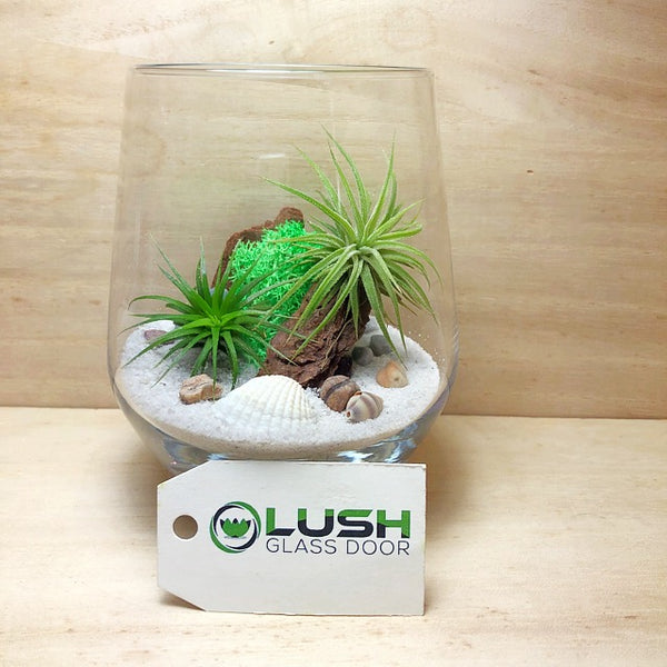 Customized Connor Airplant Terrarium by Lush Glass Door Singapore