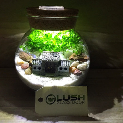 Customized Ancient Oriental House Themed Moss Terrarium with Light by Lush Glass Door Singapore