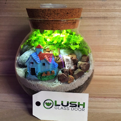 Customized House Themed Moss Terrarium with Light by Lush Glass Door Singapore