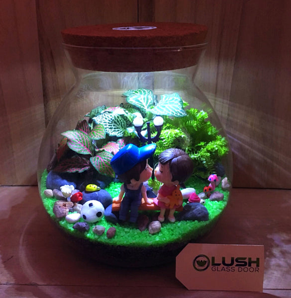 Customized You Complete Me Themed Fittonia Terrarium with Light by Lush Glass Door Singapore