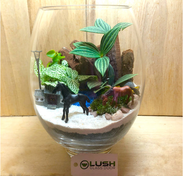 Customized Auspicious Horsie Scenic Tropical Plants Terrarium by Lush Glass Door Singapore