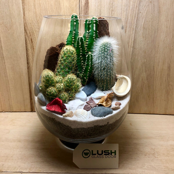 Customized Spectacular Cacti Desert Succulents Terrarium by Lush Glass Door Singapore