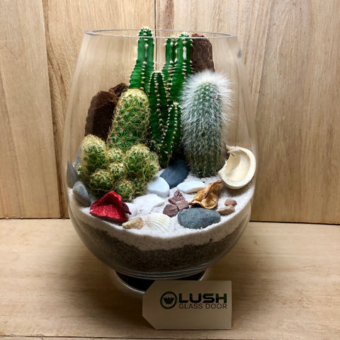 Customized Spectacular Cacti Desert Succulents Terrarium by Lush Glass Door Singapore