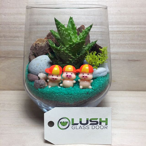 Customised Cute 3 Little Pigs Themed Succulents Terrarium by Lush Glass Door Singapore
