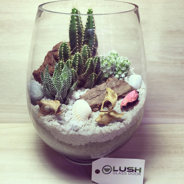 Customized Desert Scenic Succulents Terrarium by Lush Glass Door Singapore