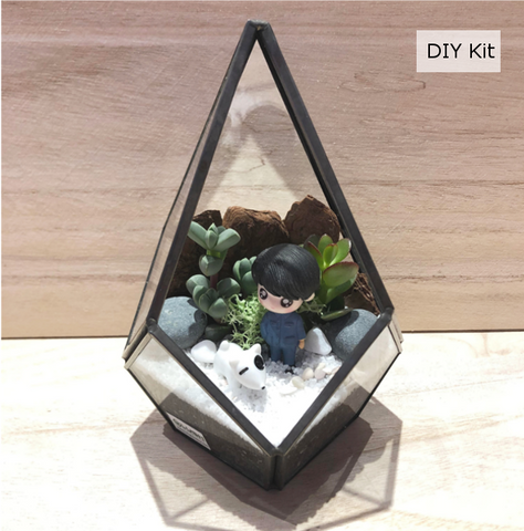 Succulent Teardrop Geometric Glass Terrarium DIY Kit