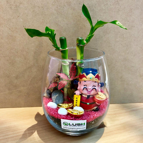 Customized Ellie Auspicious Lucky Bamboo Terrarium by Lush Glass Door Singapore