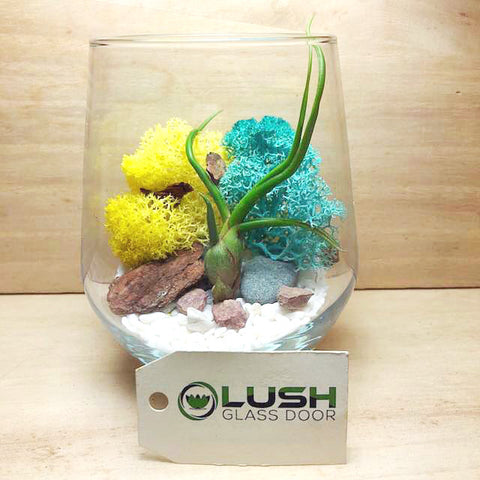 Customized Charlene Airplant Terrarium by Lush Glass Door Singapore