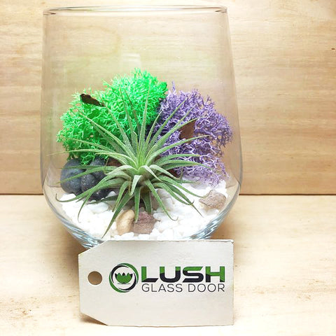 Customized Olin Airplant Terrarium by Lush Glass Door Singapore