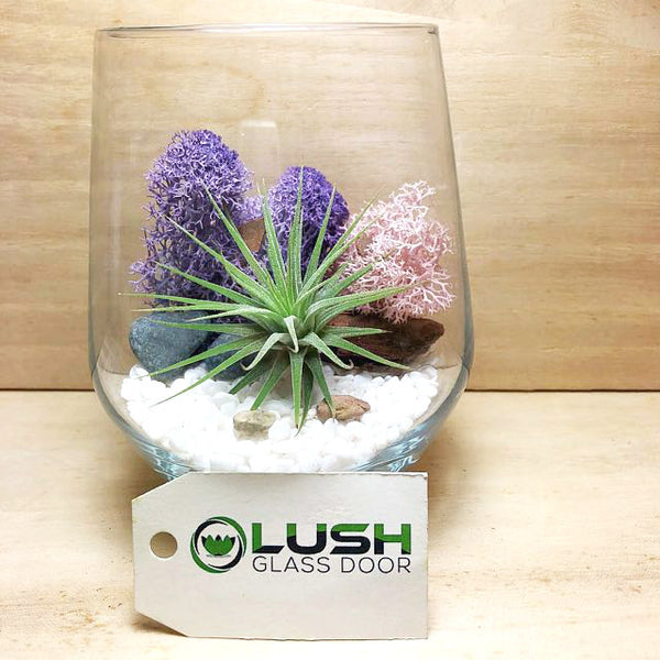 Customized Levon Airplant Terrarium by Lush Glass Door Singapore