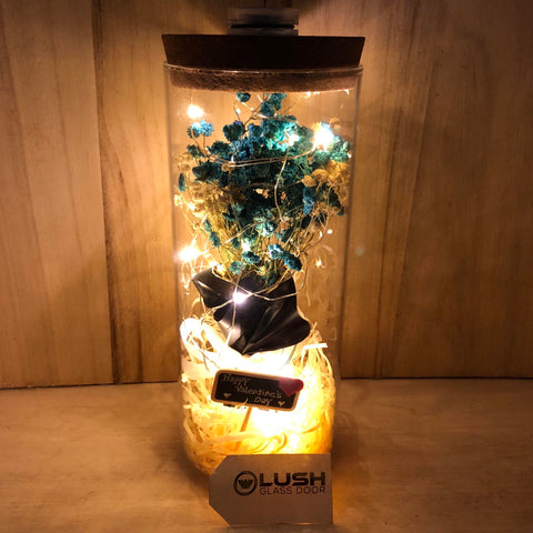 Customised Everley Harriet Baby Breath Fairy Light Glass Jar by Lush Glass Door Singapore