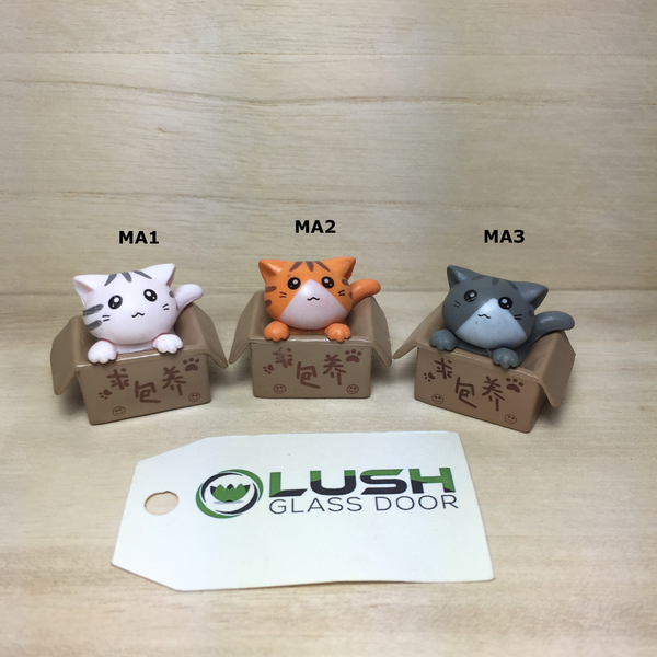 Cat in the Box Miniatures