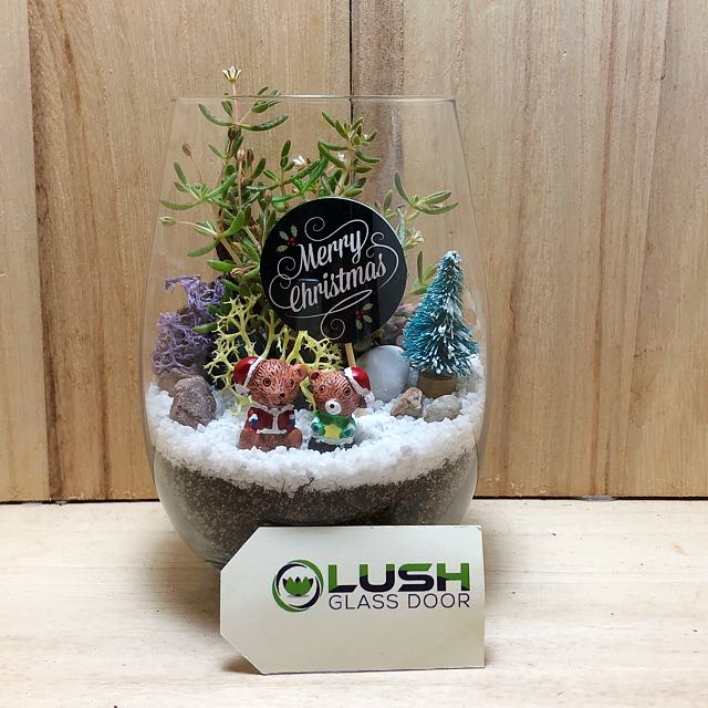 holly jolly succulent Holly Jolly Succulent Terrarium Created by Lush Glass Door, Singapore's  Terrarium One Stop Online Shop