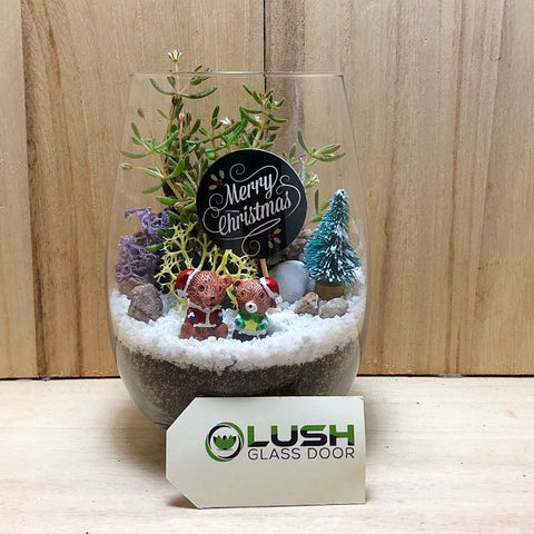 Customized Holly Jolly Succulent Terrarium by Lush Glass Door Singapore