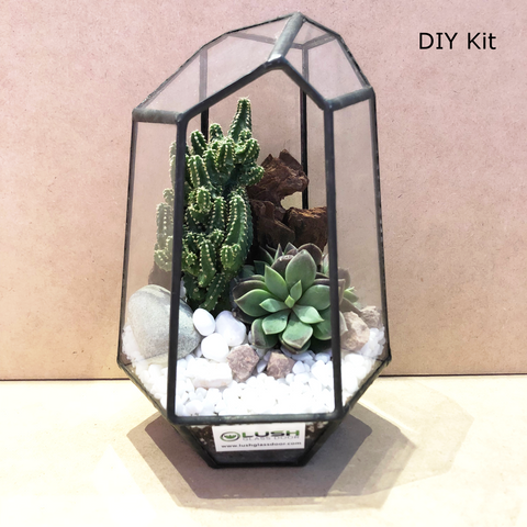 Succulent Terrarium DIY Kit (Geometric Diamond Glass) 02