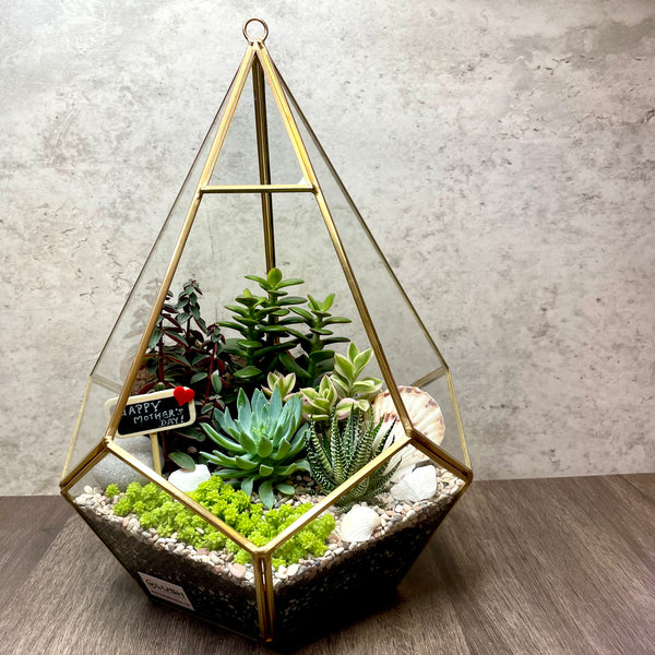 Dionne Succulent Arrangement in Golden Teardrop Geometric Terrarium (XL)