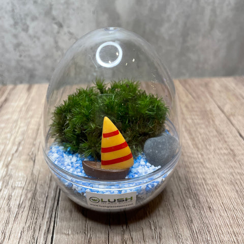 Mini Egg Shaped Moss Terrarium