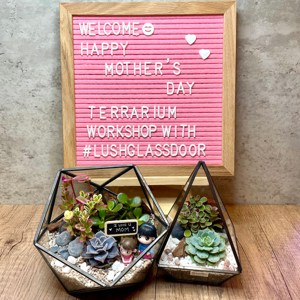 2023 Mother's Day Special ~ 2 Pax Fun & Therapeutic Geometric Terrarium Workshop Package
