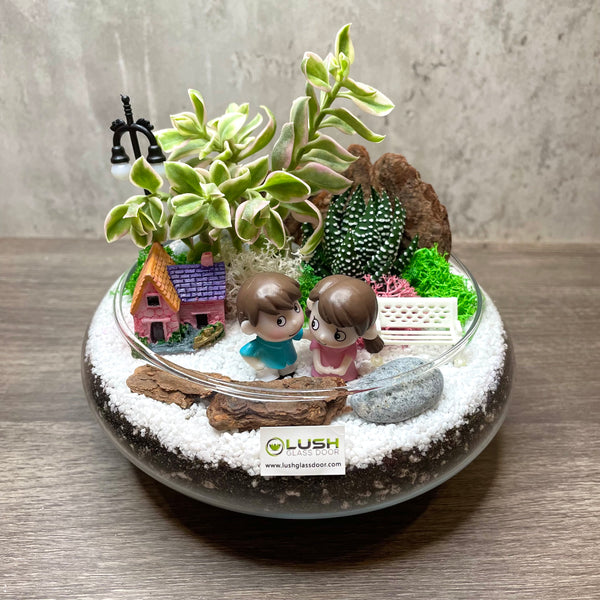 When We Were Young Themed Succulents Mid Range Terrarium