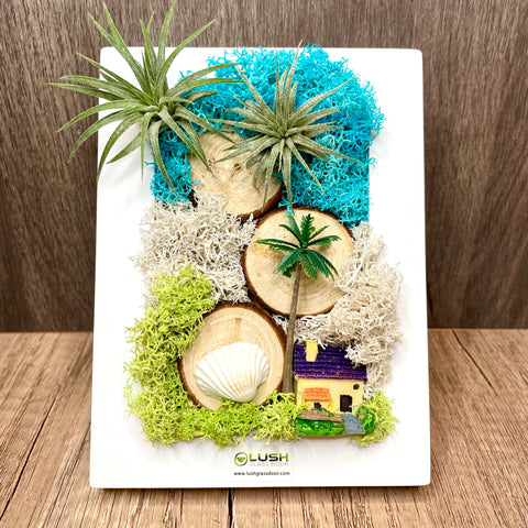 Beach Themed Eternal Airplant/ Moss 3D Wall/ Desk Frame