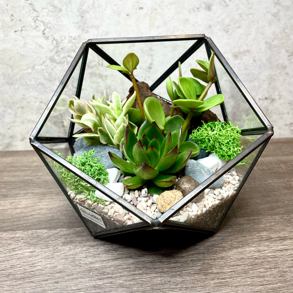 Fun & Therapeutic Geometric Terrarium Workshop Package L