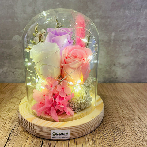 Thertia Eternal Rose Preserved Flower Glass Dome (Fairy Light)