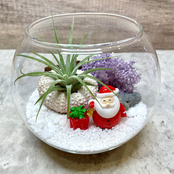 Ho Ho Ho Airplant Terrarium