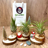 Christmas Themed Cute Wood Stump Airplant Holder with Figurines