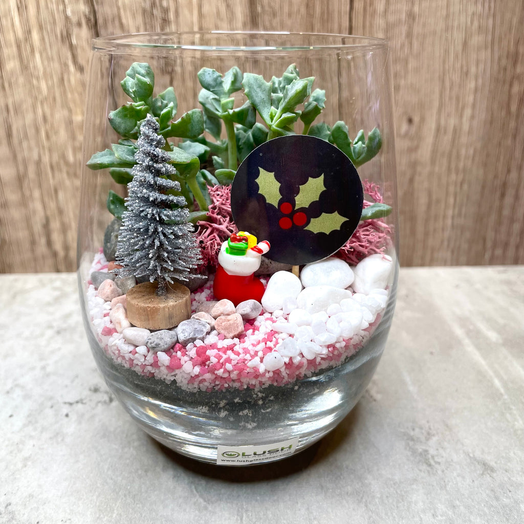 christmas succulent terrariums Blessing Bear Succulent Terrarium Created by Lush Glass Door, Singapore's Terrarium One Stop Online Shop