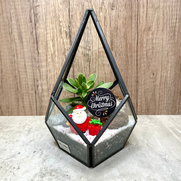 Merry Santa Succulents Arrangement in Teardrop Geometric Terrarium