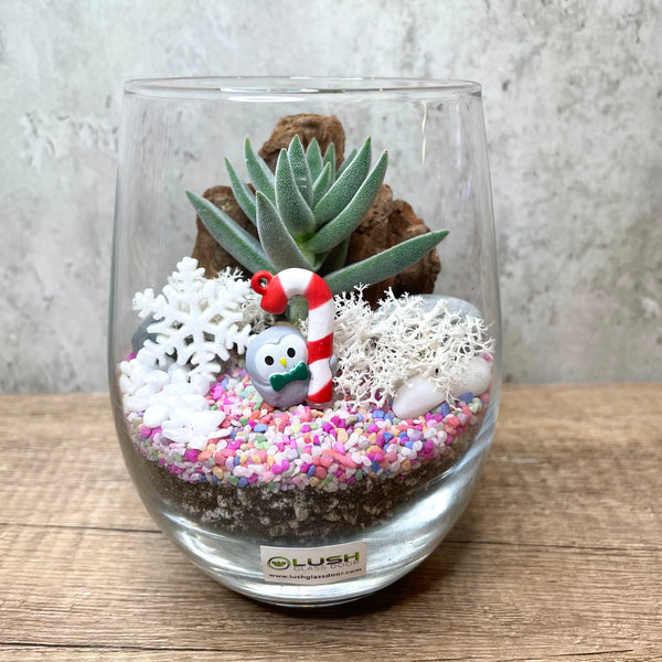 Cute Christmas Owl Succulent Terrarium