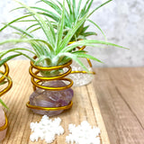 Boho Crystal Stone Airplant Holder with Airplant