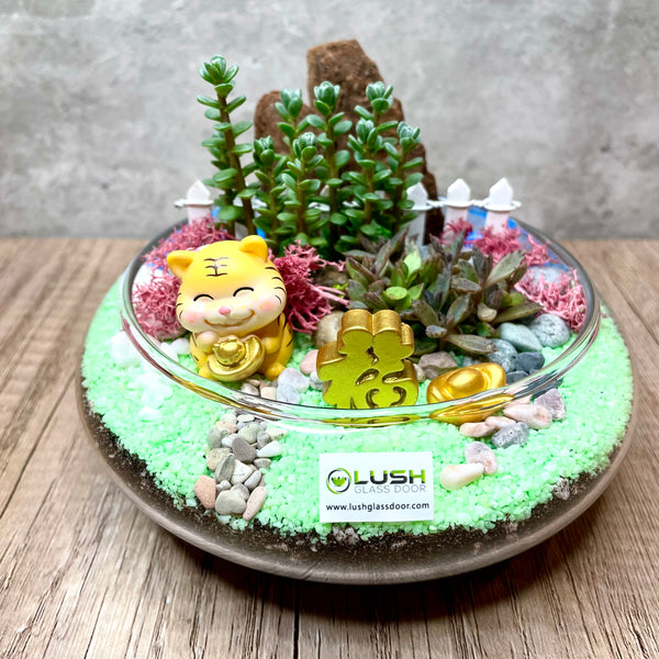 Year of Mighty Tiger Themed Fittonia Mid Range Terrarium