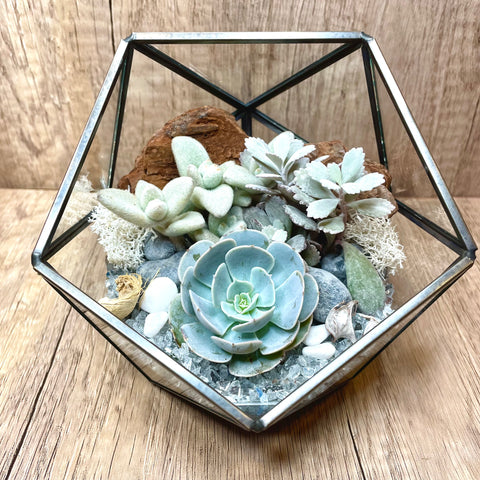 Xmas Frost Themed Ball Shaped Geometric Terrarium