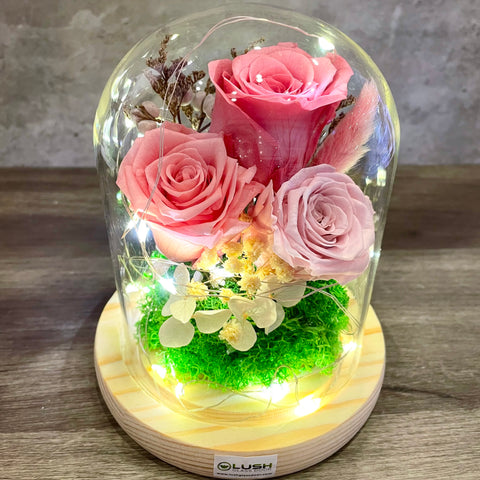 Carin Eternal Rose Preserved Flower Glass Dome (Fairy Light)