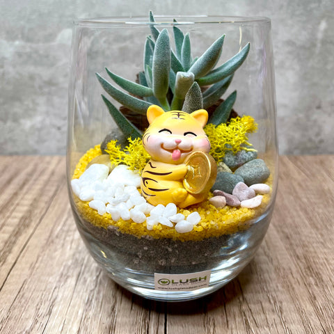 Roar The Golden Tiger Succulent Terrarium