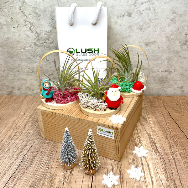 Cute Xmas Mini Airplant Basket with Figurine & Assorted Colored Perserved Moss