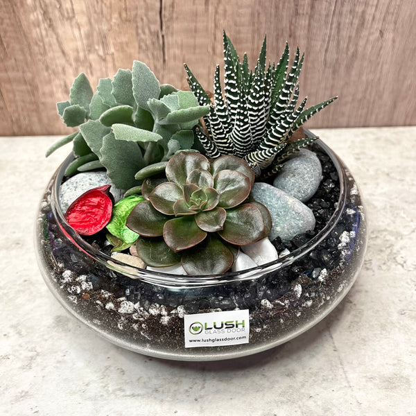 Classy Tzvi Succulents Arrangement Mid Range Terrarium