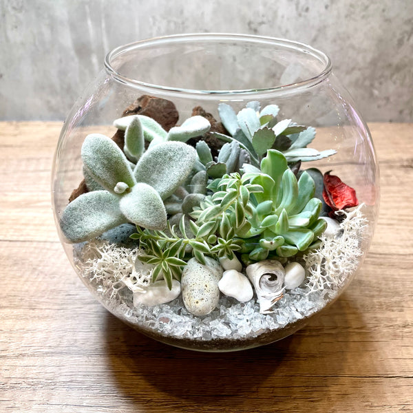 White Christmas Succulent Bowl Terrarium