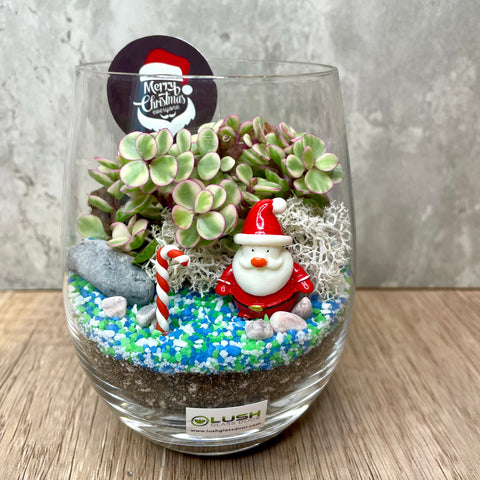 Ho Ho Ho Santa Succulent Terrarium