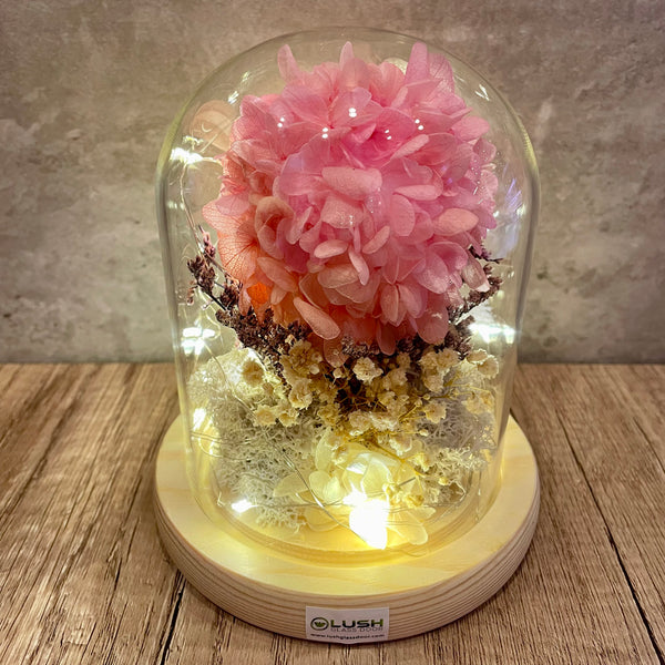 Pure Love Preserved Hydrangea Tree in Dome Glass with Fairy Light
