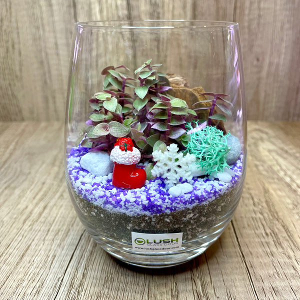 Snowy Christmas Succulent Terrarium