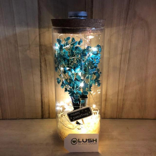 Customised Everley Eternal Baby Breath Fairy Light Glass Jar by Lush Glass Door Singapore