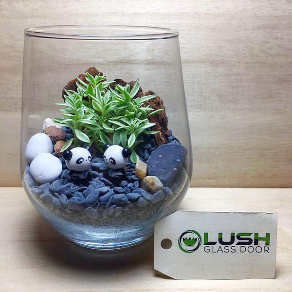 Customised Pandas In The Woods Themed Succulent Terrarium by Lush Glass Door Singapore
