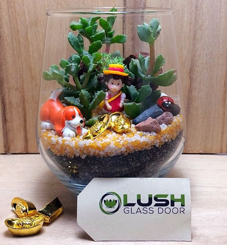 Customized Ilona Auspicious Succulent Terrarium by Lush Glass Door Singapore