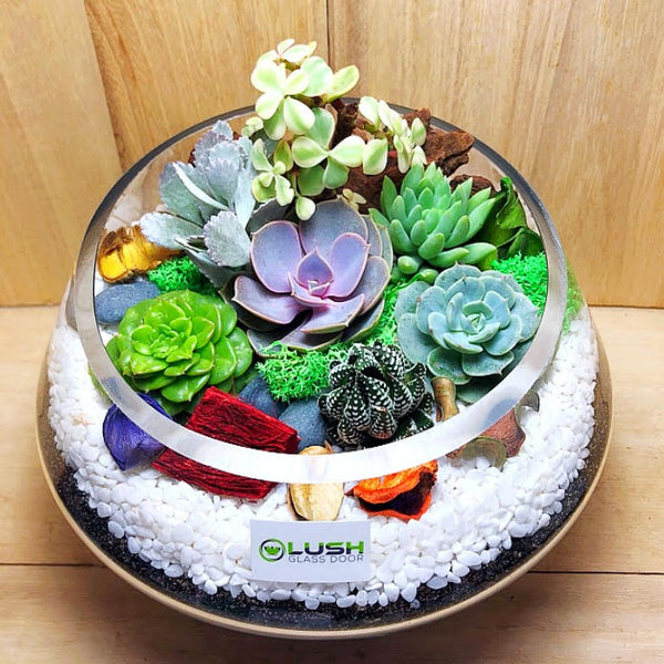 Customized Flourishing Garden Themed Succulents Premium Terrarium by Lush Glass Door Singapore