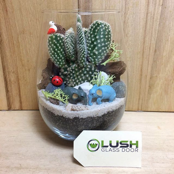 Customized Lane Succulent Terrarium by Lush Glass Door Singapore